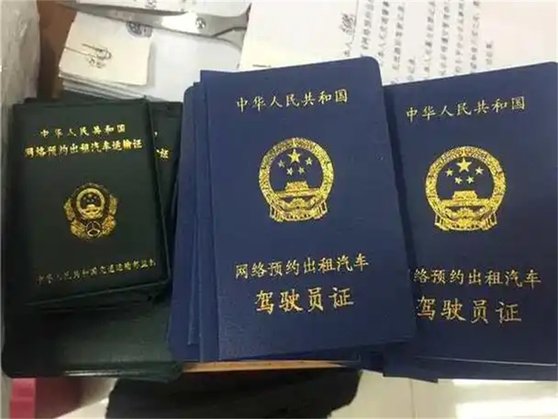 不同证件版式更新,制作时需要关注什么